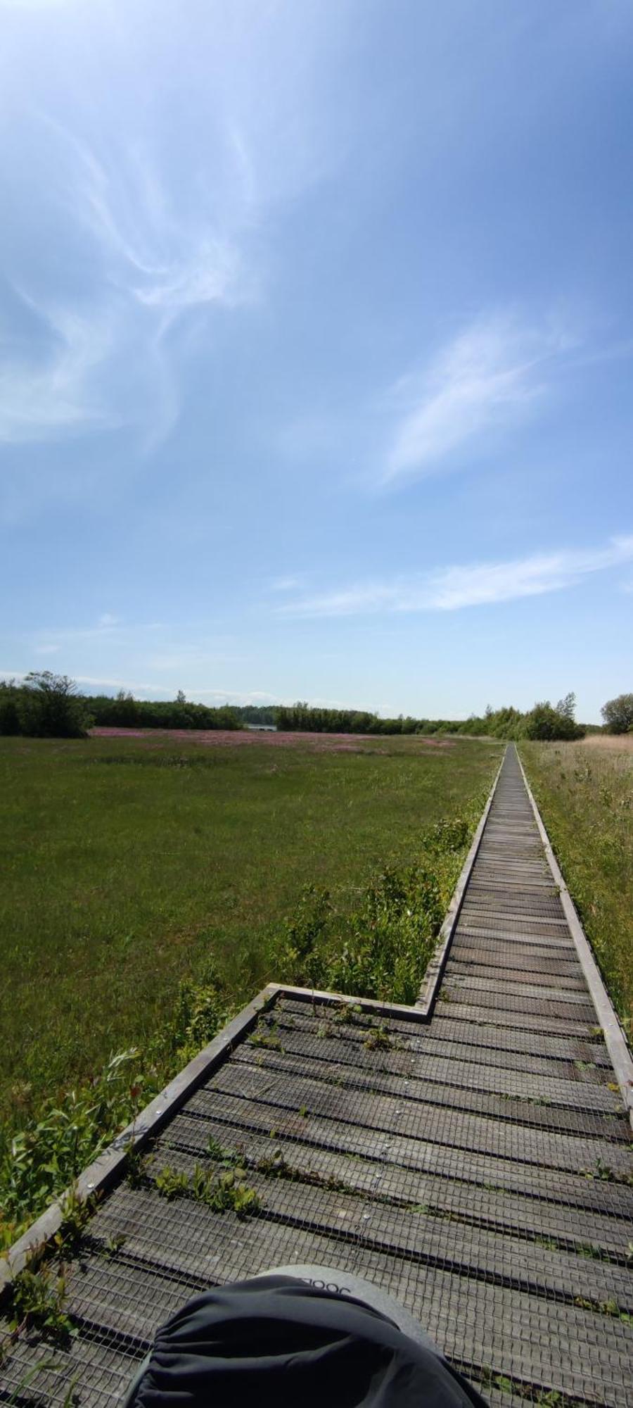 Mobilheim Herz Lauwersoog - Chalet Robbengat Esterno foto